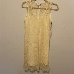Cupcakes and cashmere lace dress
